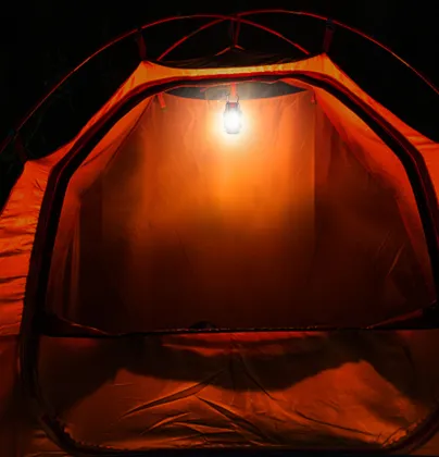 Mosquito Killing Trap Lamp
