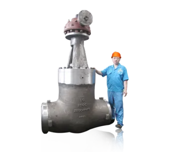Gear operation globe valve