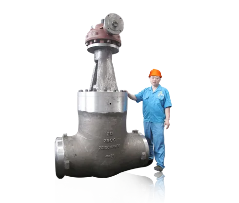 Gear operation globe valve