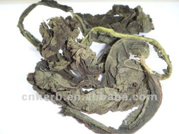 Dried Yacon leaf,Yacon leaves,Smallanthus sonchifolius,Diabetes tea,Ya gen,Yagencha