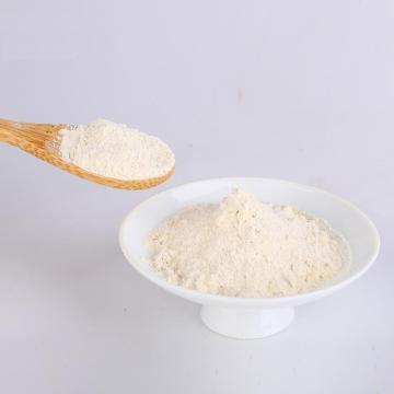 Dried garlic powder with best price