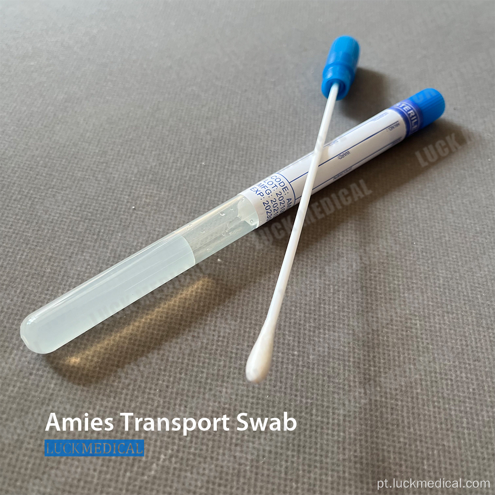 Swab de transporte com gel amies