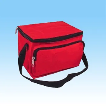 2013 New Design Picnic Cooler Bag