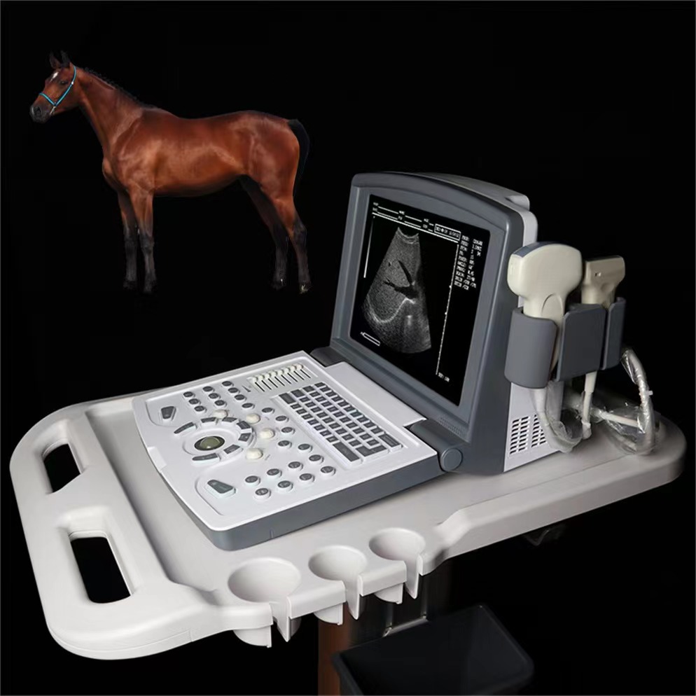 Scanner échographique b portable pour le cheval de porc de mouton