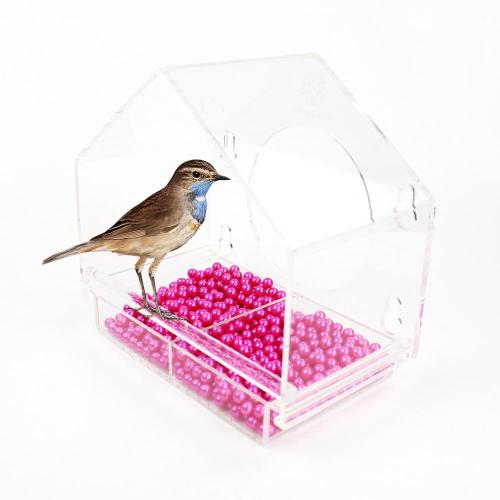 Customized Hummingbird Bird Feeder Best Seller