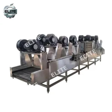 Apple Washing Vegetable Fruit Bubble Processing Line