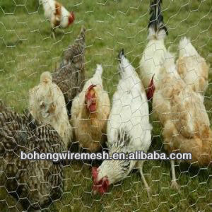 HEXAGIANL WIRE NET POULTRY CAGES
