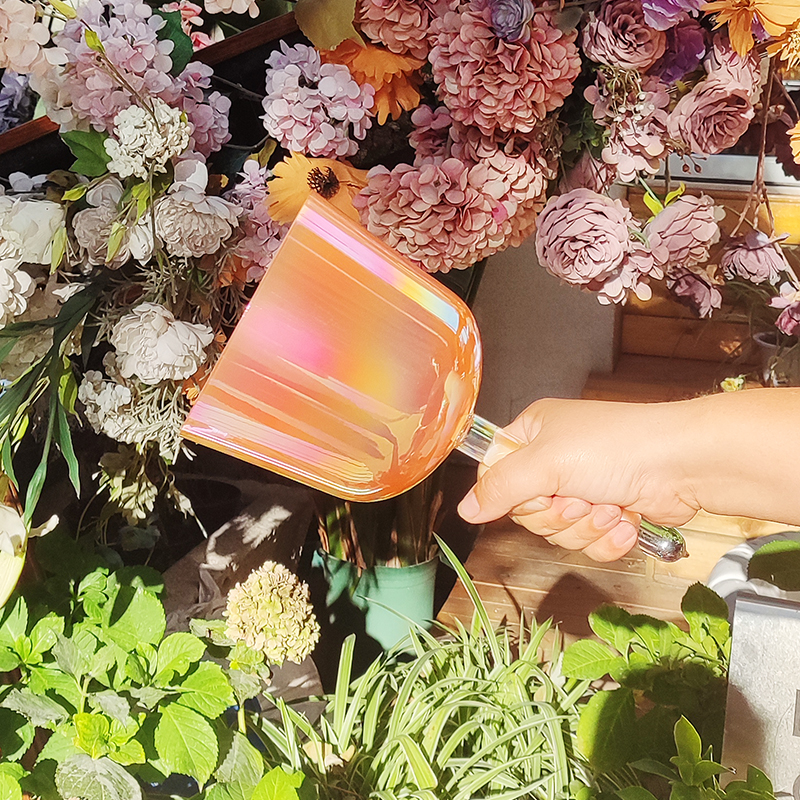 Orange Clear Quartz Crystal Handle Singing Bowl