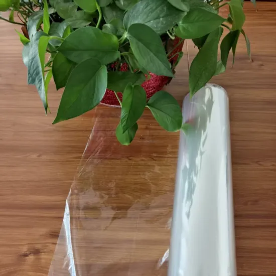 Biodegradable Stretch Wrapping PLA Film From Corn Starch