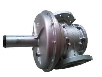 Industrial Gas Pressure Regulator with Built-in Filter Unit: Italy Giuliani FS1B65-DN65 Anello Valve