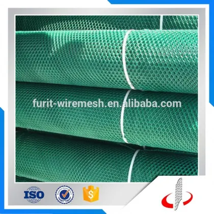 Green Grass Protection Plastic Mesh