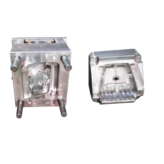 Customized Acrylic Injection Mold PMMA PC Plastic Transparent Mold