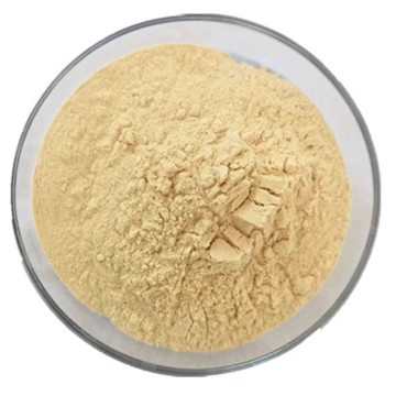 Water Soluble Eriobotrya Japonica Loquat Fruit Powder