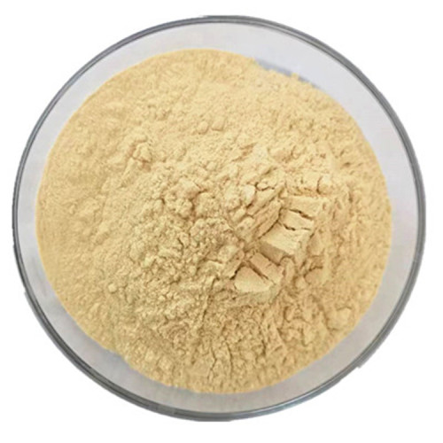 Water Soluble Eriobotrya Japonica Loquat Fruit Powder