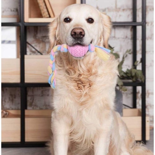 3 Packen Sie dauerhafte interaktive Hundespielwaren