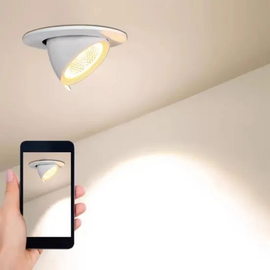 Factory Direct Sales: Rotatable Dimmable Elephant Trunk Downlights for Hotel and Office Lighting