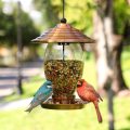 3ポンドの種子容量を持つ鳥の餌箱