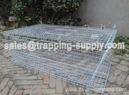 Door Galvanized Pigeon Cage Trap