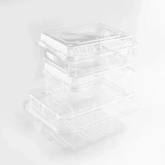 fruit tray plastic fruit tray dry fruit trays