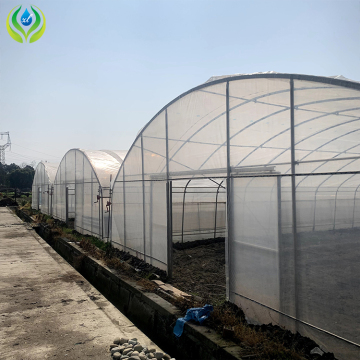 MYXL Plastic Film Greenhouse: Plastic and Metal Frame High Tunnel for Sale