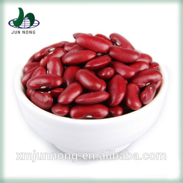 High quality low price healthy food nutritious natural soya beans white and red kidney beans