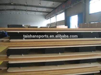 Professional Wushu taolu/kungfu field