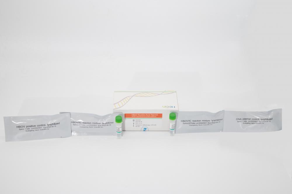 مجموعة اختبار حمض HBOV (طريقة مسبار PCR- مضان)