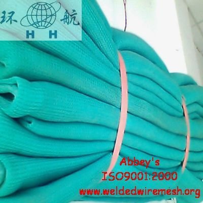 Scaffolding Safety Net