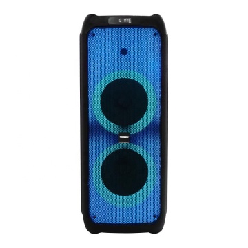 Best Selling 10 Inch Portable Trolley Karaoke Speaker with Battery and Wheels for Parties