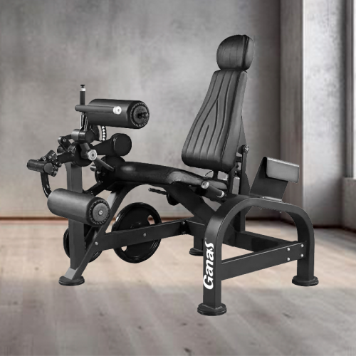 2024 new product Leg Extension machine