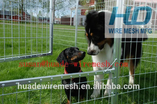 wire mesh fence for dog