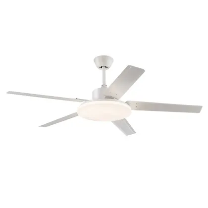 Home Appliances DecorativeCeiling Fan With Light