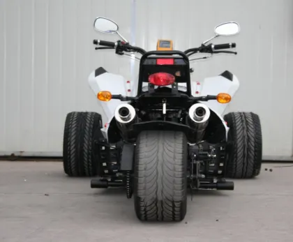3 Wheel Racing ATV/Quad