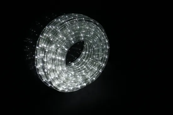 most popular products china supplier Bright 24leds/m led 2 wires small led rope light