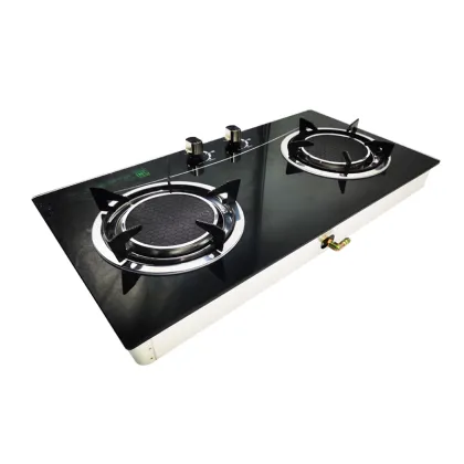 Professional OEM/ODM Gas Stove Brands for Gas Control Valve