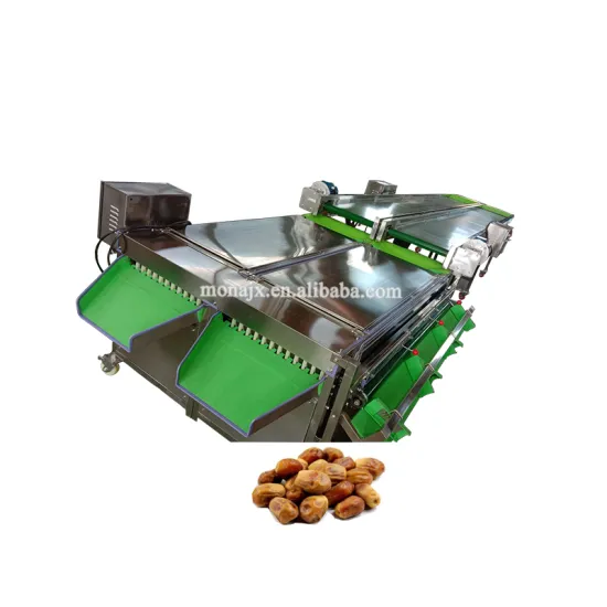 Price and Size Grading Machine for Fruits and Dates on Conveyor Belt