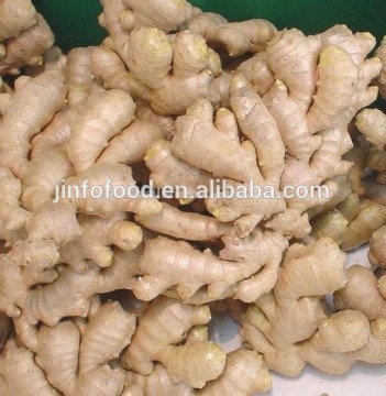 air dry ginger