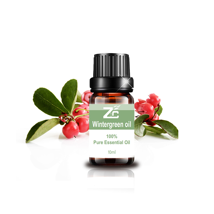 High Quality Wintergreen Essential Oil for Massage
