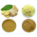 Gember -extract Gingerol Powder 5% 10%