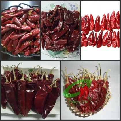 Spices Dried Chili Peppers Wholesale Red paprika Capsicum annuum La jiao Lajiao