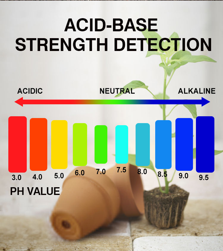 Ph Meter Laboratory