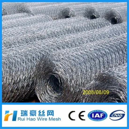 Heavey Galvanized Gabion Box (ISO 9001 Direct Factory)