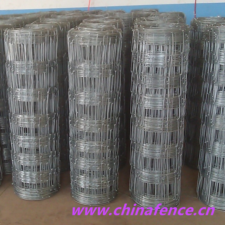 Field Fence for Farm