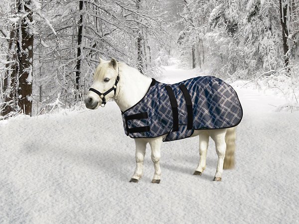 Мини -среднее весовое одеяло на лошадях