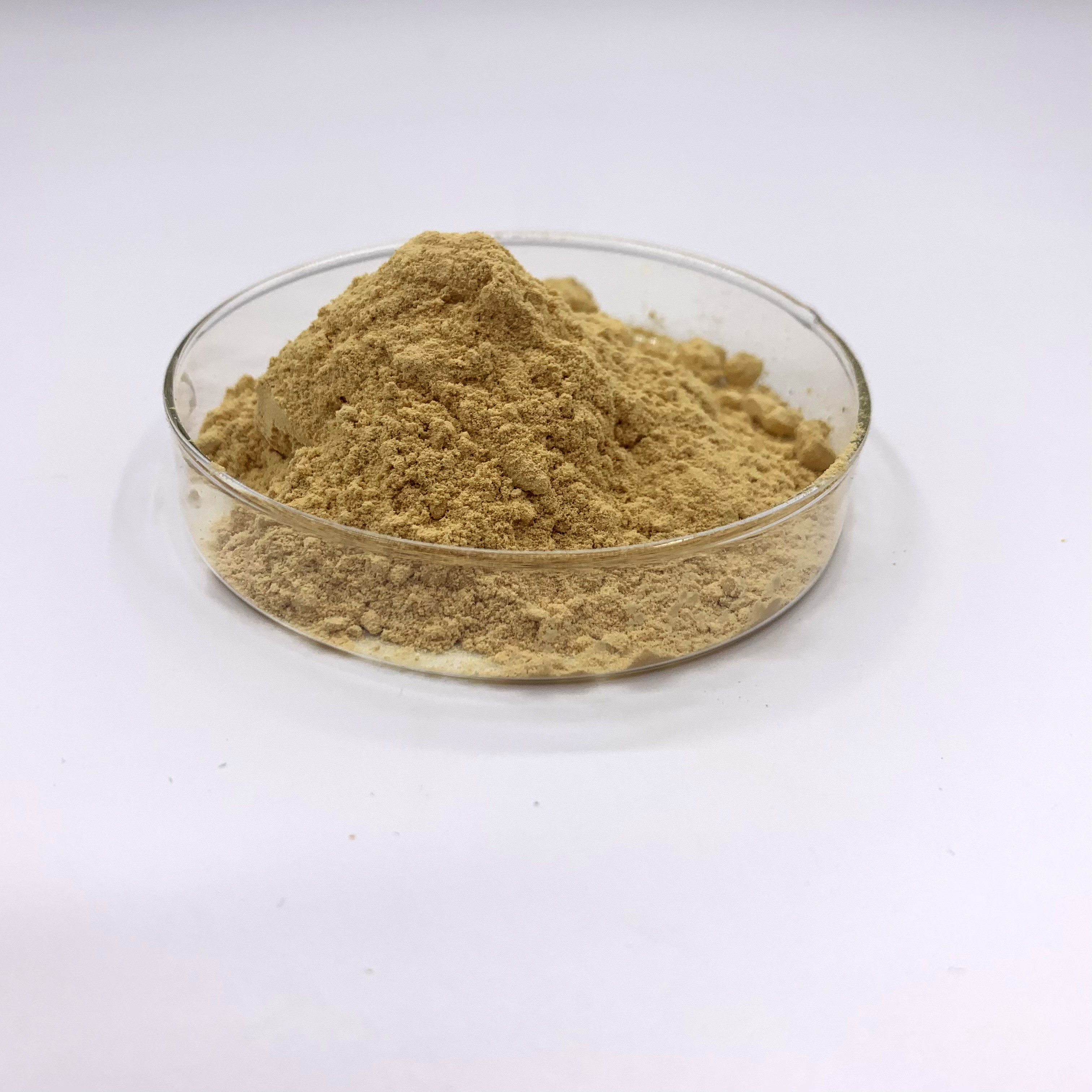 Microbial Rennet Cheese Chymosin Rennet