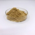 Microbial Rennet Cheese Chymosin Rennet