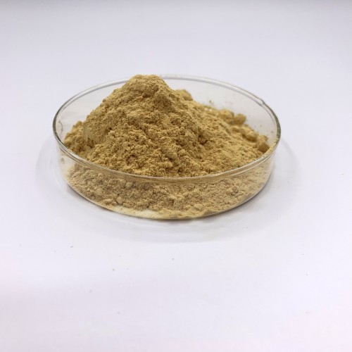 Microbial Rennet Cheese Chymosin Rennet