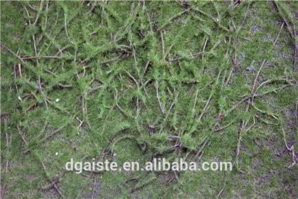 moss flocking artificial moss grass carpet