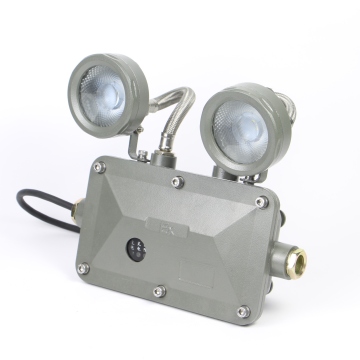 ATEX Explosion-Proof Emergency Exit Light 2x3W Double Head