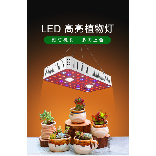 Meilleur Cree Cob Led élèvent la lumière 1000W